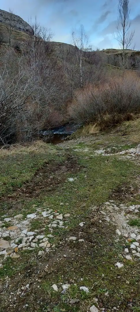 Finca rústica en venda en Espinosa de los Monteros amb Jardí privat