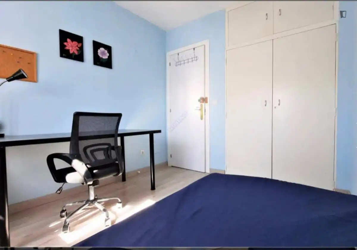 Habitació a Universidad