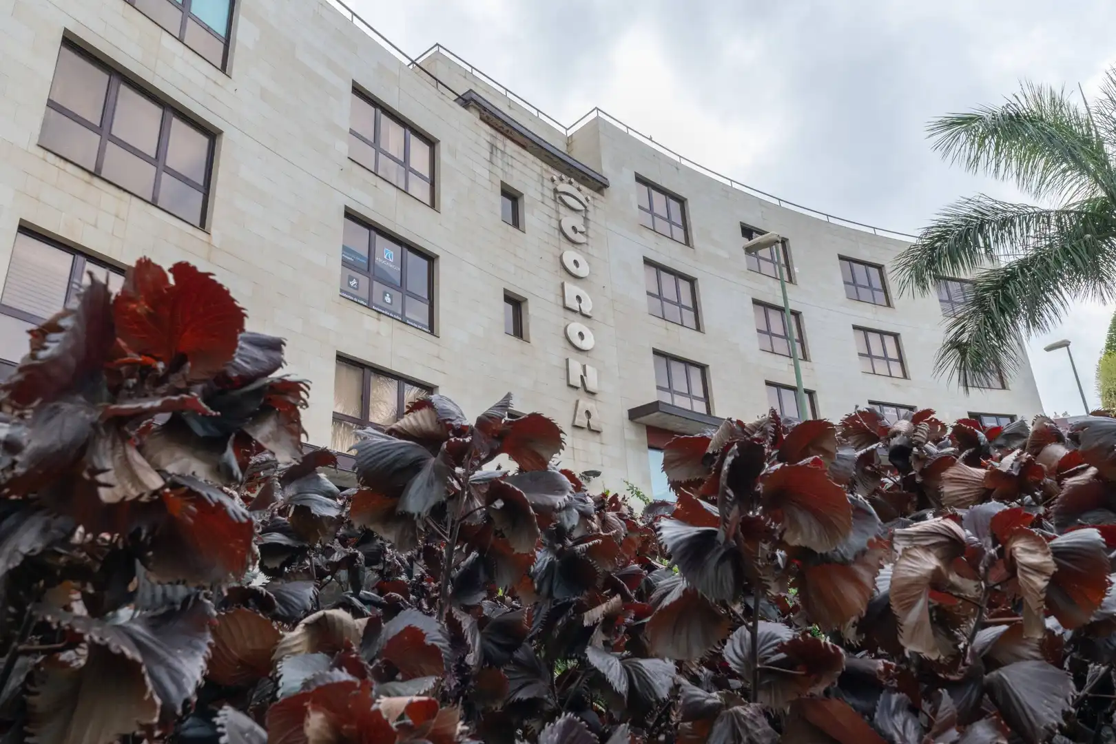 Vista exterior de Pis en venda en Las Palmas de Gran Canaria amb Jardí privat i Traster