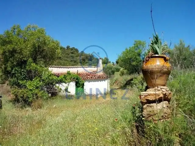 Rural land for sale in Espiel, imagen 13