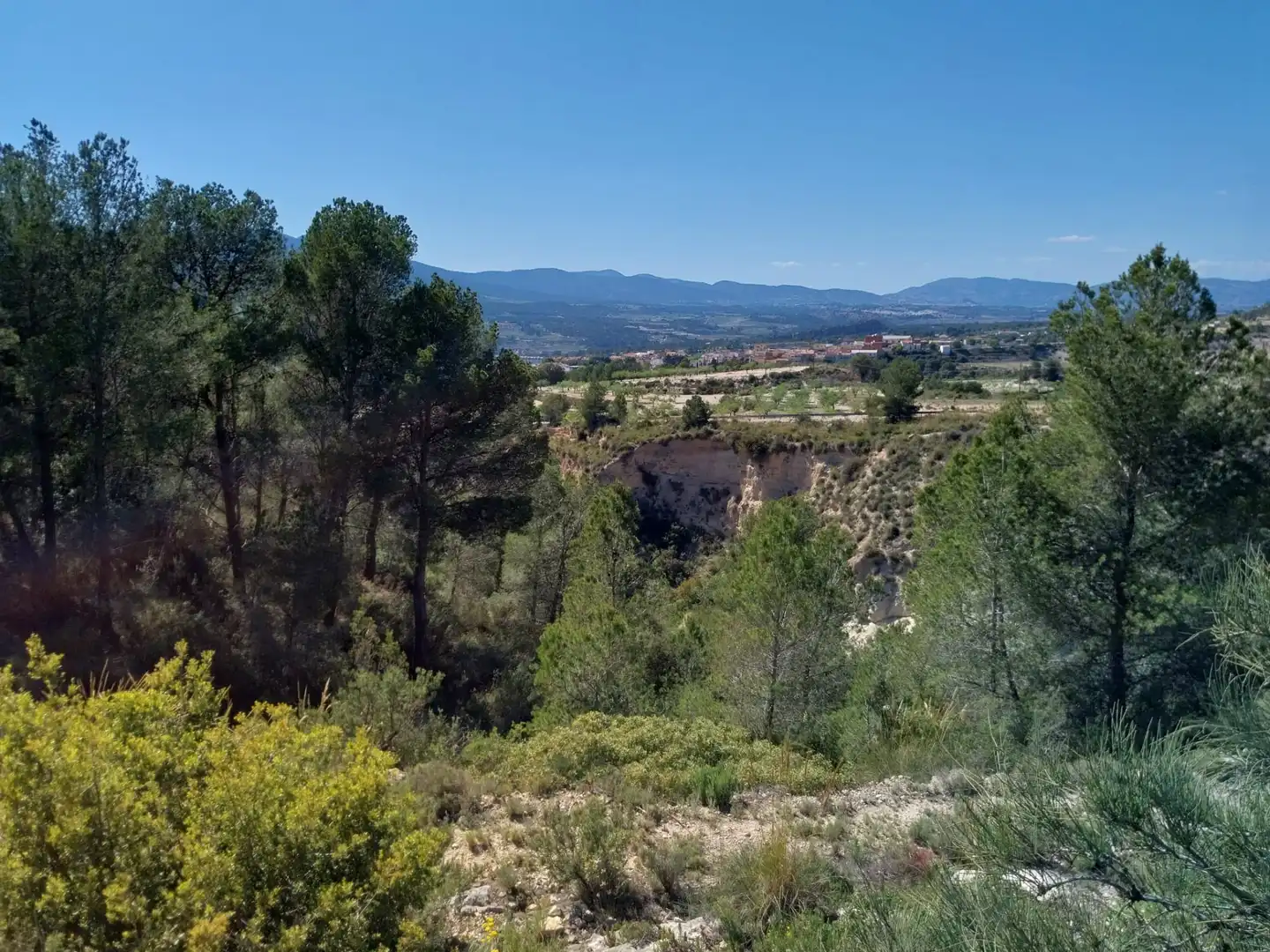 Terreno rustico in vendita a Lugar Castillo, imagen 40