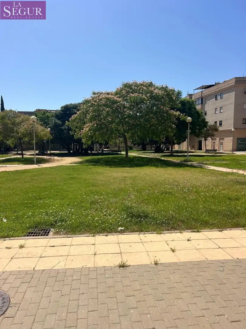 Gewerbefläche zum Verkauf in Caballero Bonald - San José Obrero - Guadalcacín, imagen 4
