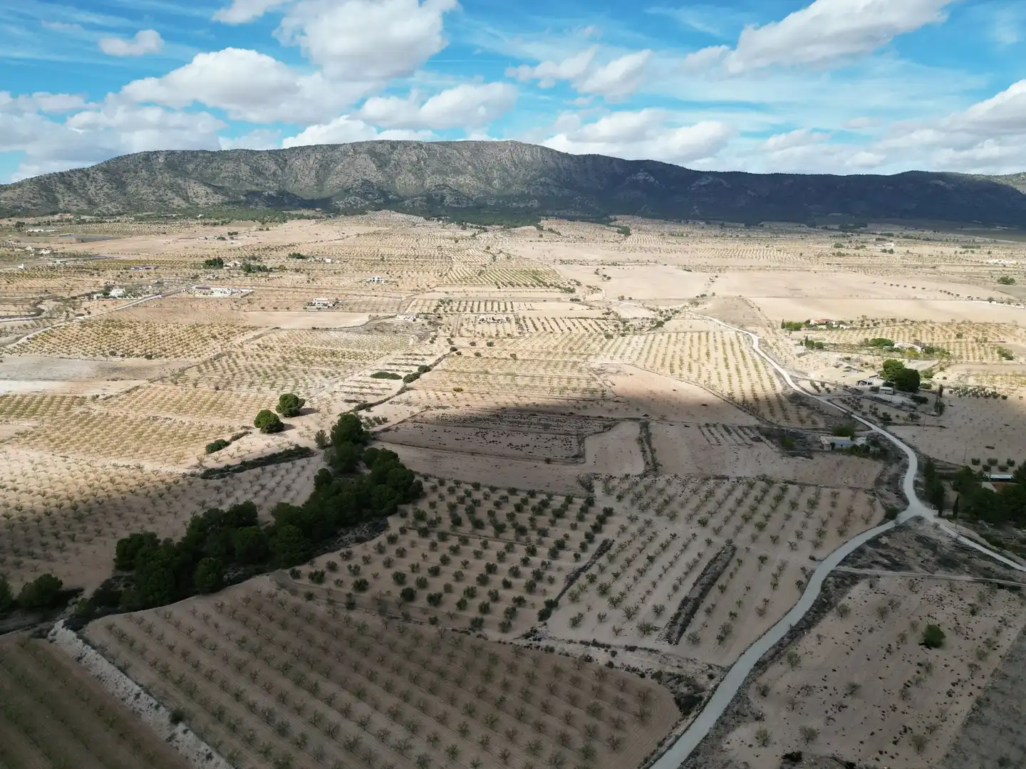 Terreno residencial en venta en El Pinós / Pinoso, imagen 11