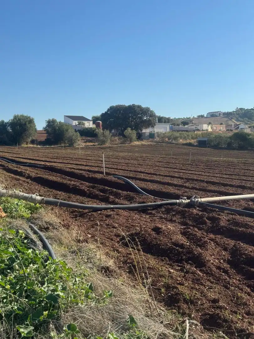 Casa rustica in vendita a Arcos de la Frontera