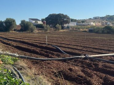 Casa rústica en venda a Arcos de la Frontera