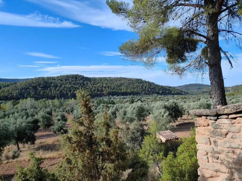 Country homes for sale in Fuentespalda