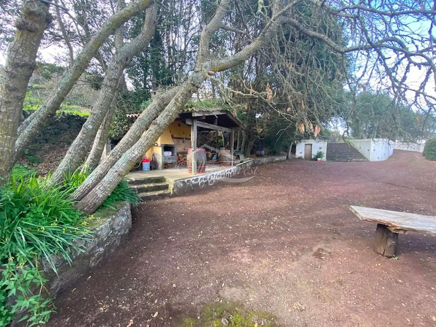 Jardí de Casa o xalet en venda en El Tanque amb Jardí privat, Terrassa i Traster