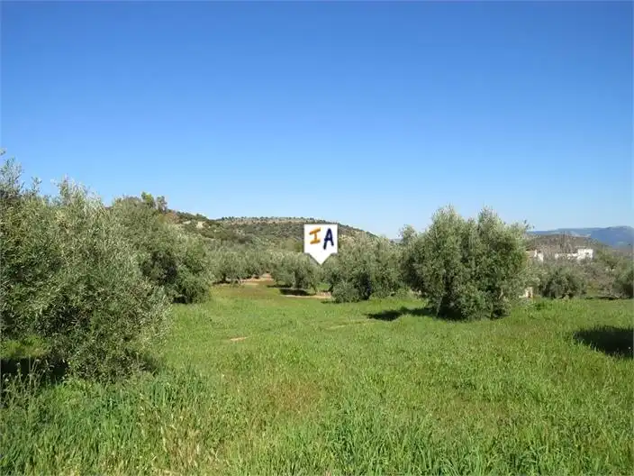 Terreni e lotti in vendita a Martos, imagen 6