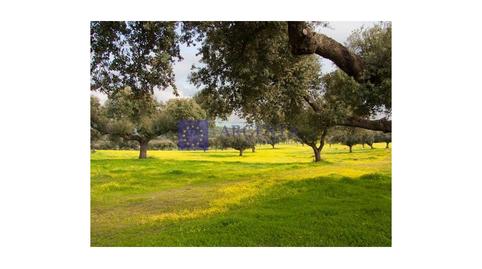 Photo 2 of House or chalet for sale in Poligono Pp2, Zona Sur - Av. de España - San Miguel, Cáceres