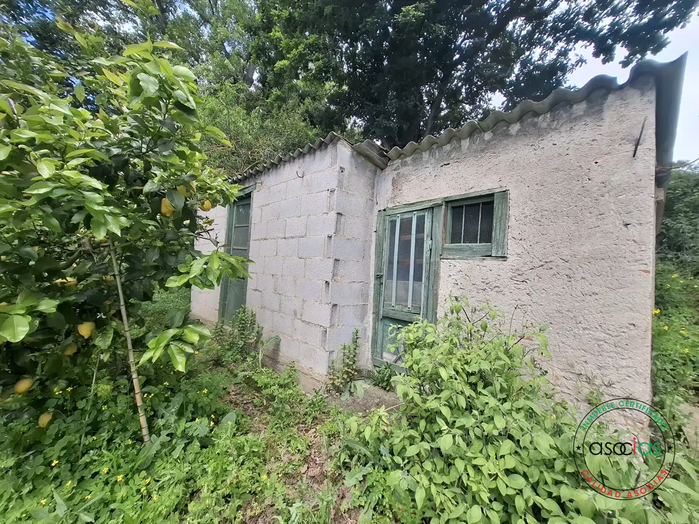 Vista exterior de Terreno en venta en Gijón 