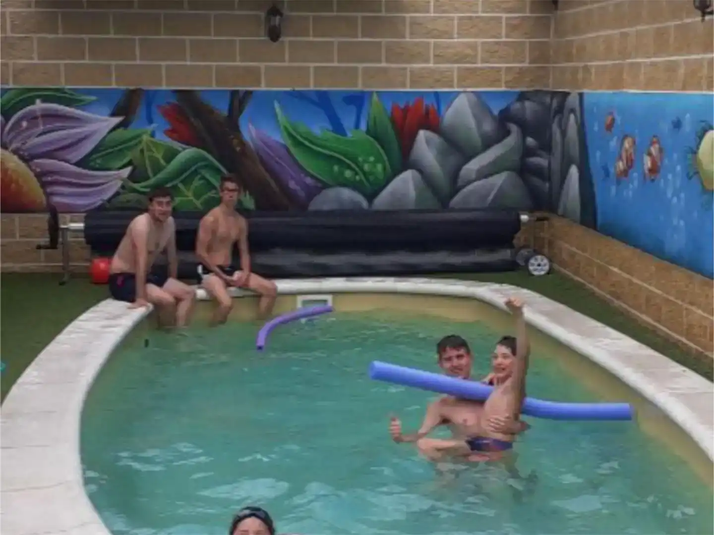 Piscina de Casa o chalet en venta en Navas de Oro con Piscina y Amueblado