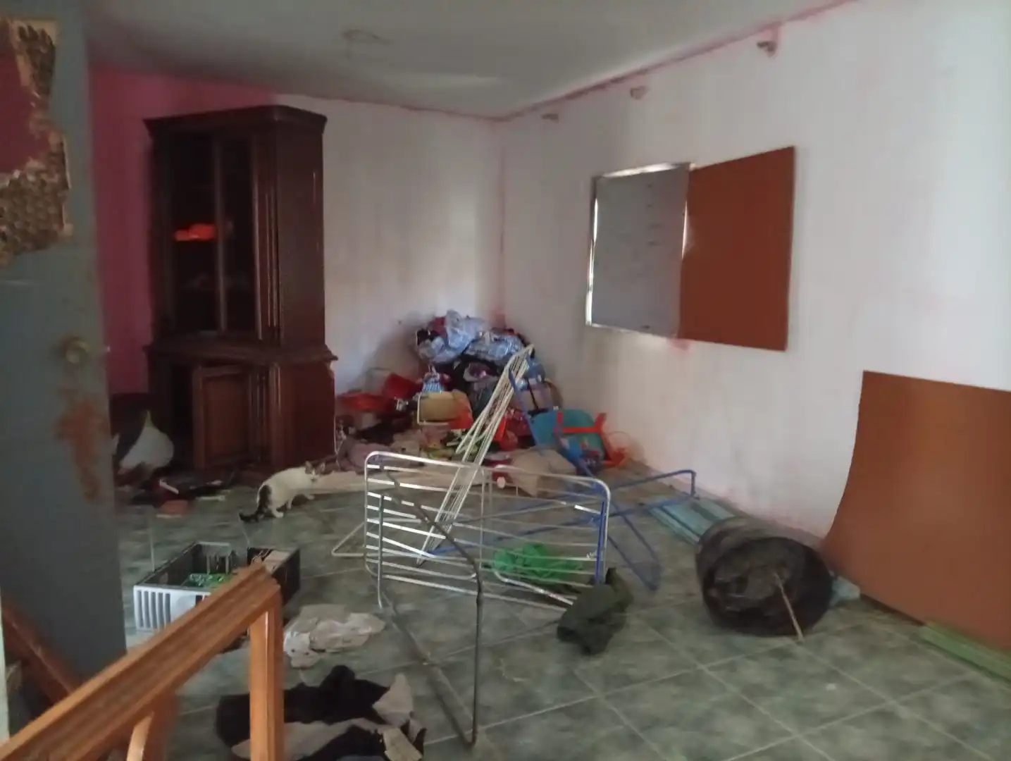 Sala d'estar de Casa o xalet en venda en Baza