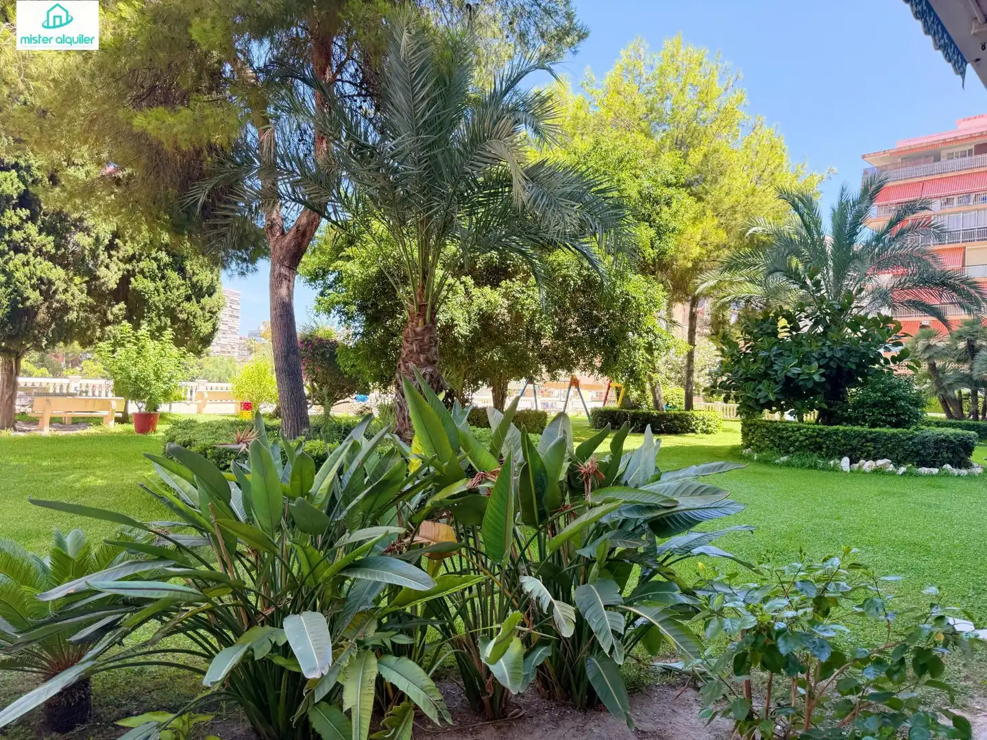 Apartamento con terraza en alquiler en Avenida CATALUÑA 14, imagen 44