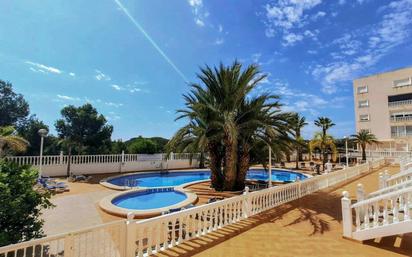 Piscina de Dúplex en venda en Guardamar del Segura amb Terrassa