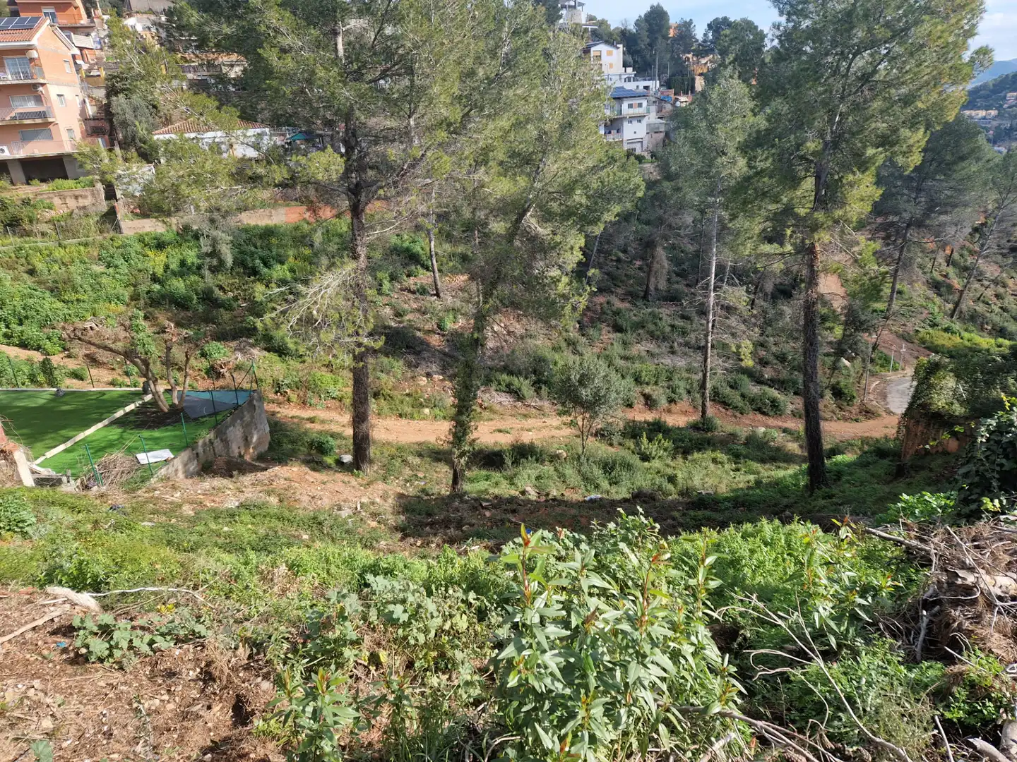 Wohnbaugrundstück zum Verkauf in Carrer del Cactus 27, imagen 2