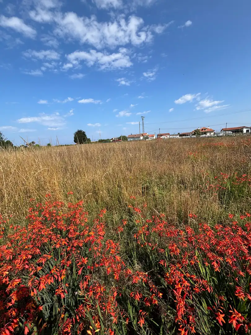 Casa o xalet en venda en Cudillero amb Jardí privat