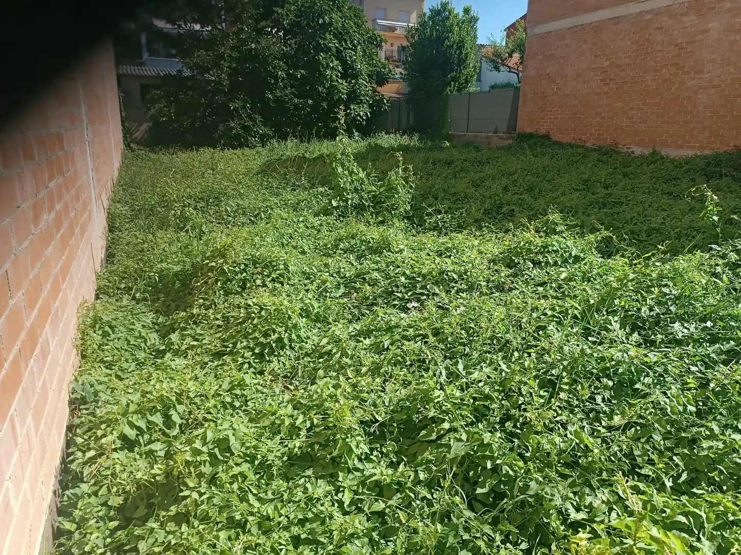 Terreny residencial en venda a Torelló, imagen 6