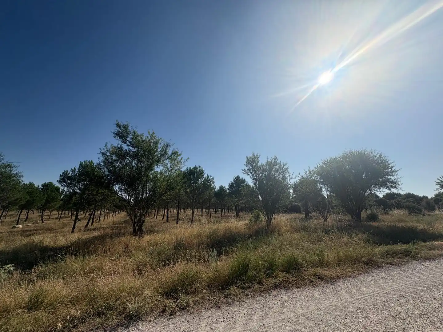 Terreno en venta en Cogeces del Monte