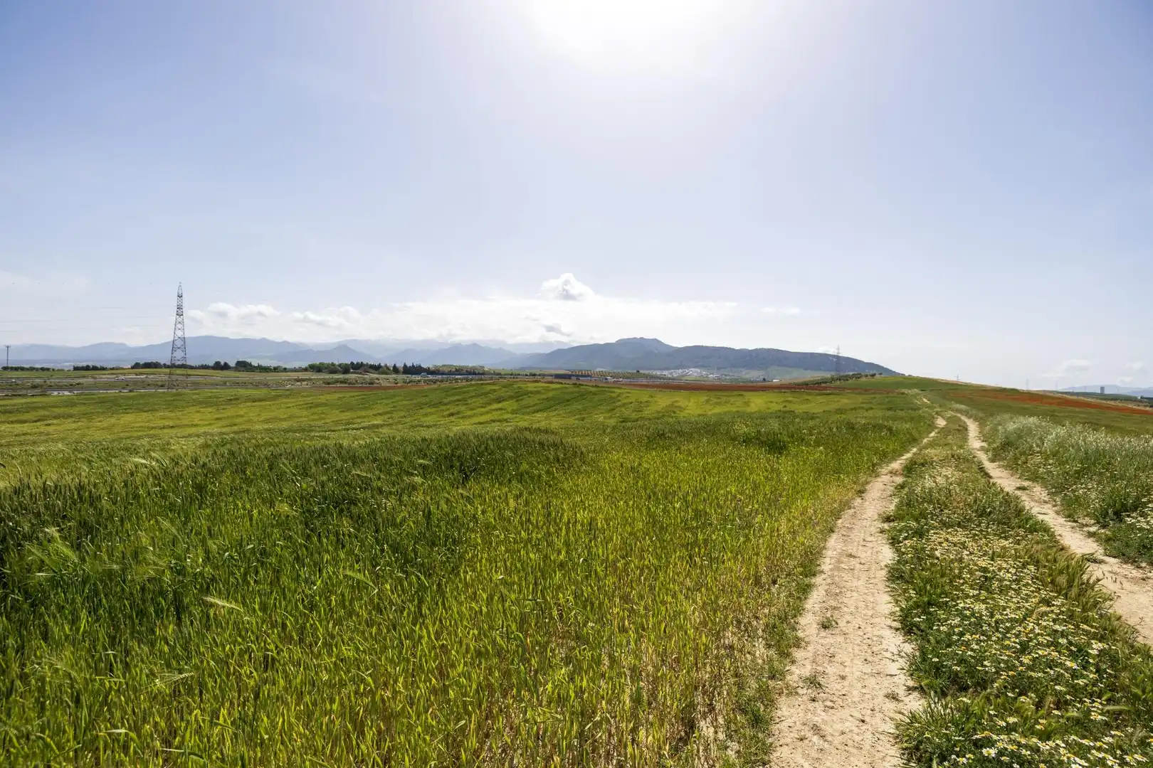 Lands and plots for sale in Otura 6, imagen 2