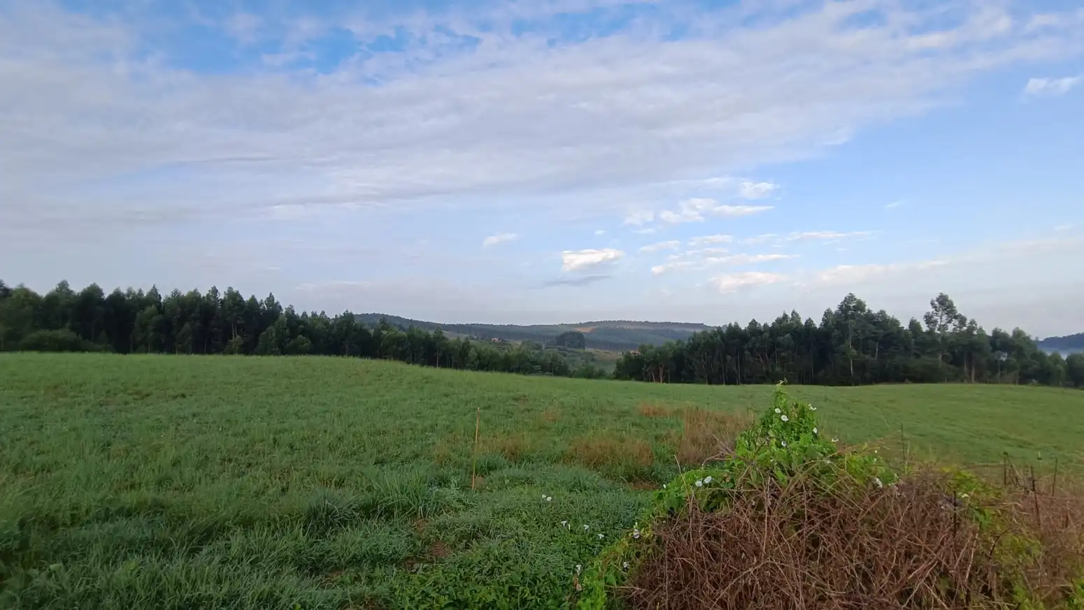Terrenys i solars en venda a Escobedo - Alto del Churi, imagen 8