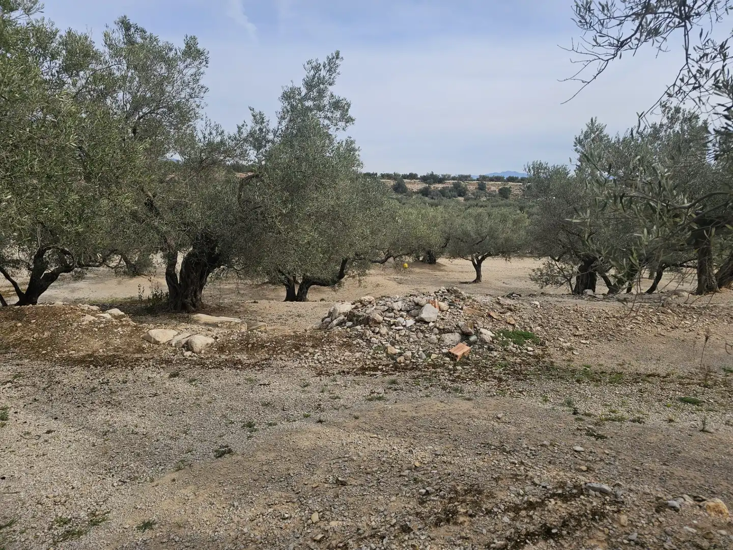 Rural land for sale in Roquetes, imagen 16