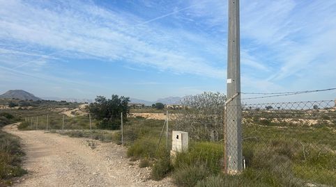 Photo 5 of Residential for rent in La Huerta, Mutxamel