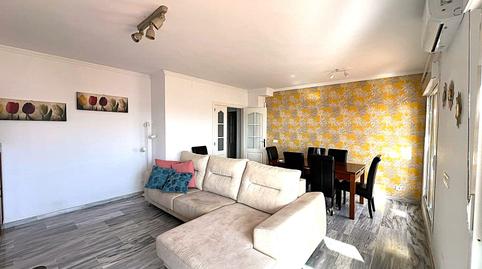 Photo 3 of Attic to rent in Puerto de Estepona, Estepona