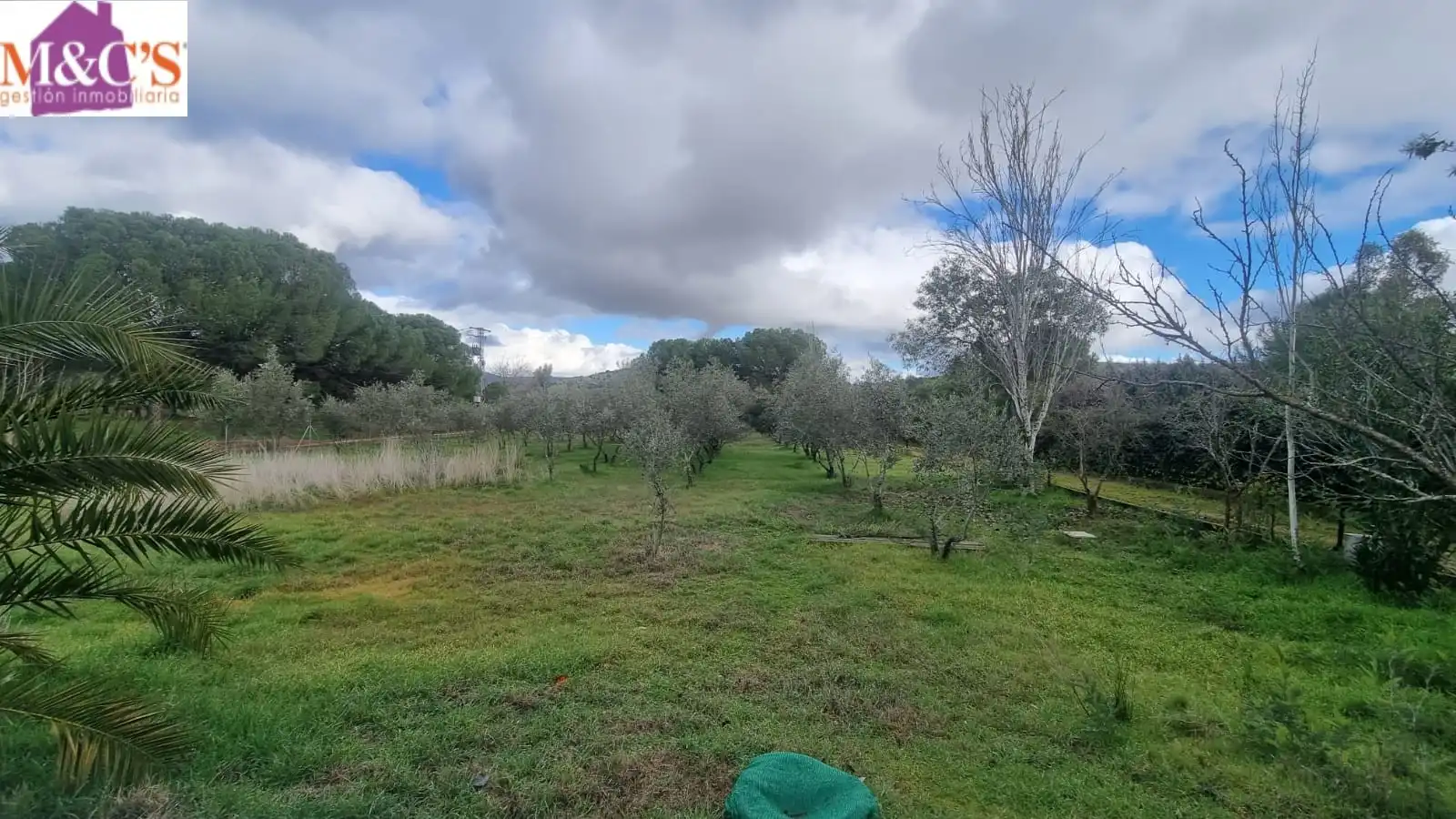 Casa o xalet en venda en Cabezarrubias del Puerto amb Aire condicionat, Calefacció i Jardí privat