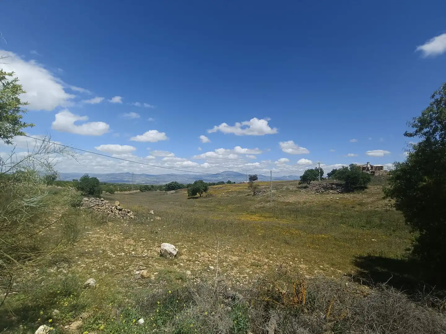 Finca rústica en venta en Salar