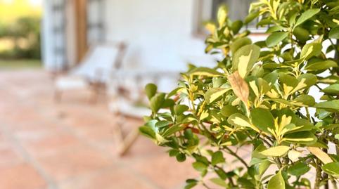 Photo 3 of Country house for sale in Arrabal Sector Valdevaqueros, Tarifa ciudad, Cádiz