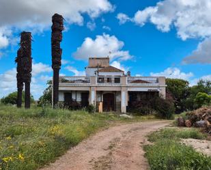 Vista exterior de Finca rústica en venda en Badajoz Capital amb Jardí privat, Terrassa i Balcó