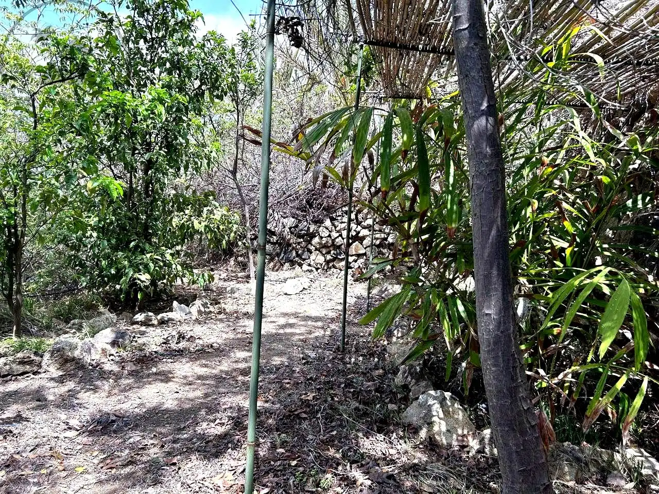 Finca rústica en venta en Vallehermoso con Aire acondicionado, Calefacción y Jardín privado