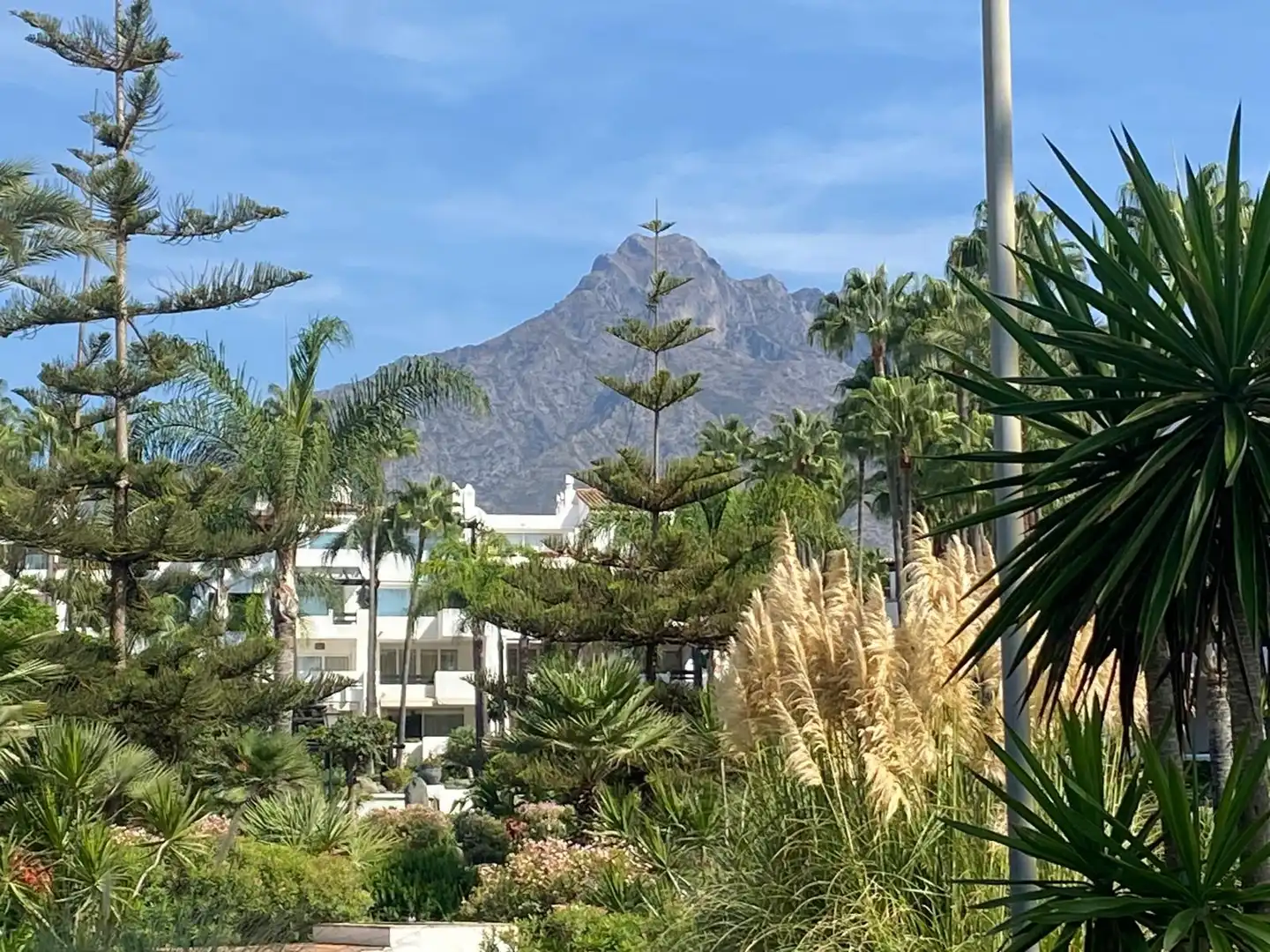 Vista exterior de Apartamento en venta en Marbella con Calefacción, Terraza y Trastero