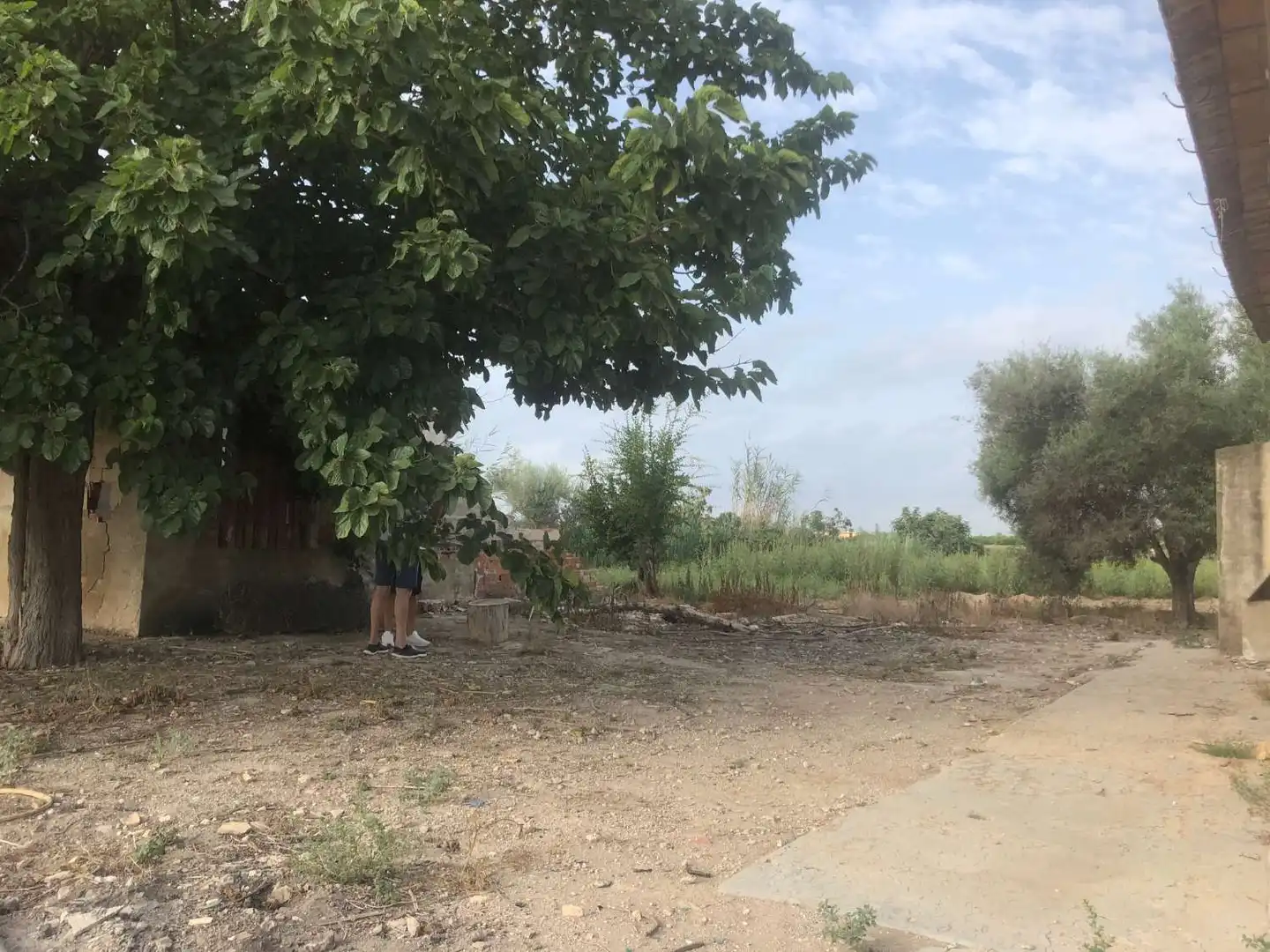 Terreny industrial en venda en Callosa de Segura