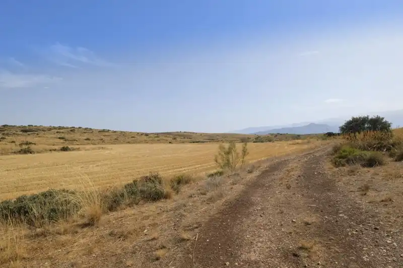 Terreni e lotti in vendita a Padul, imagen 10