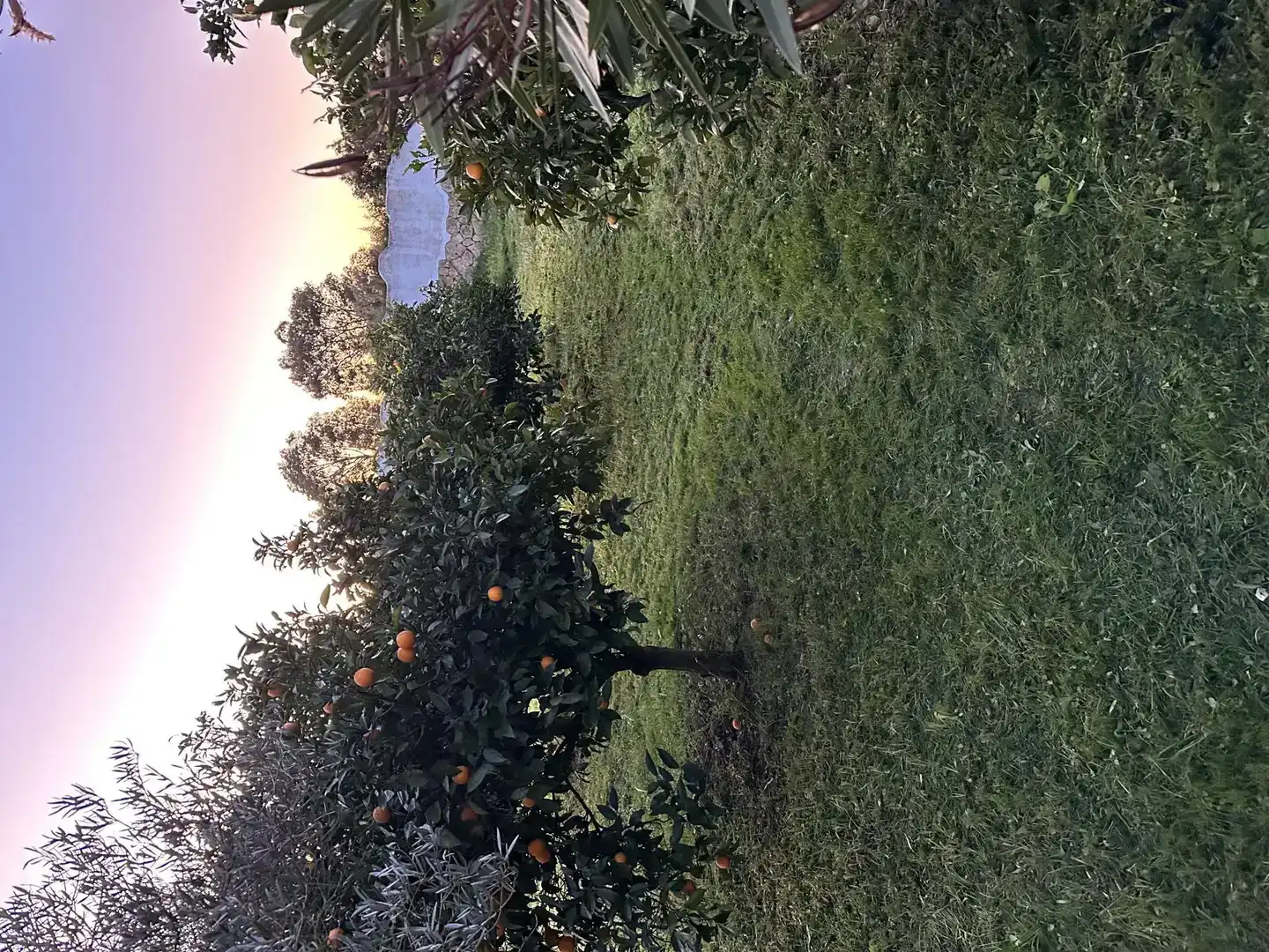Finca rústica en venda a Calle Benalup-medina, 3, Medina Sidonia