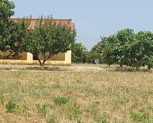 Finca rústica en venda en Castellón de la Plana / Castelló de la Plana