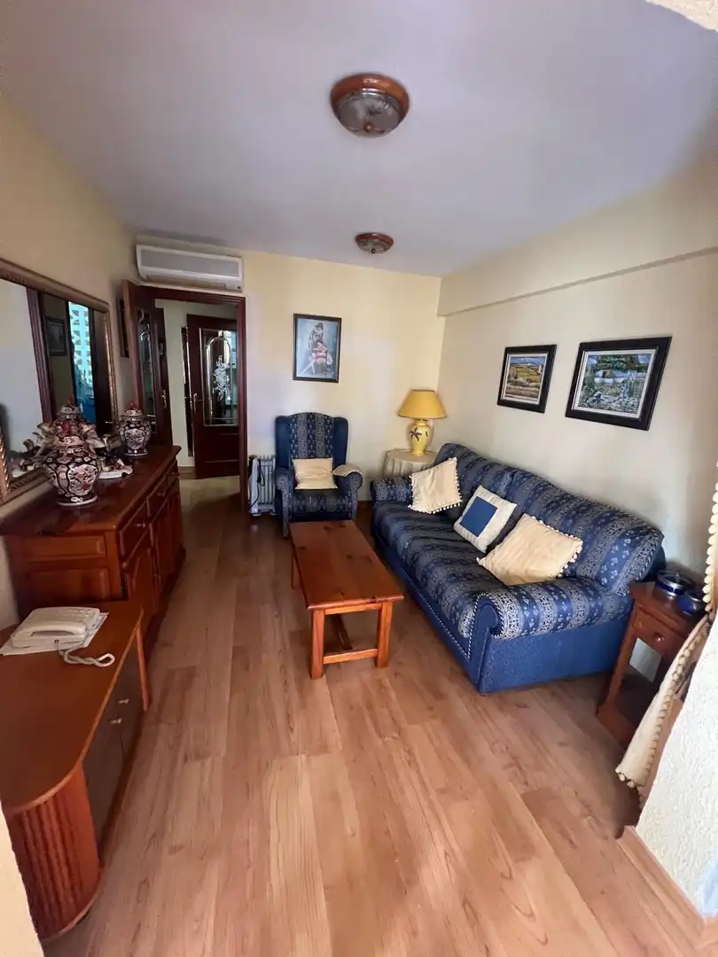 Living room of Flat for sale in Benidorm  with Air Conditioner, Terrace and Furnished