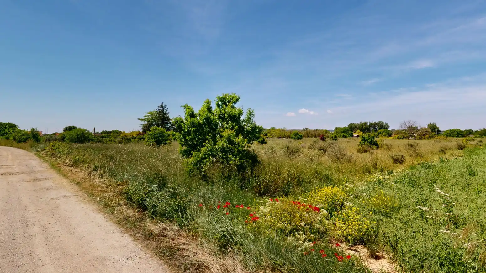 Rustikales Grundstück zum Verkauf in Tafalla - TORRETA . Tafalla, imagen 16
