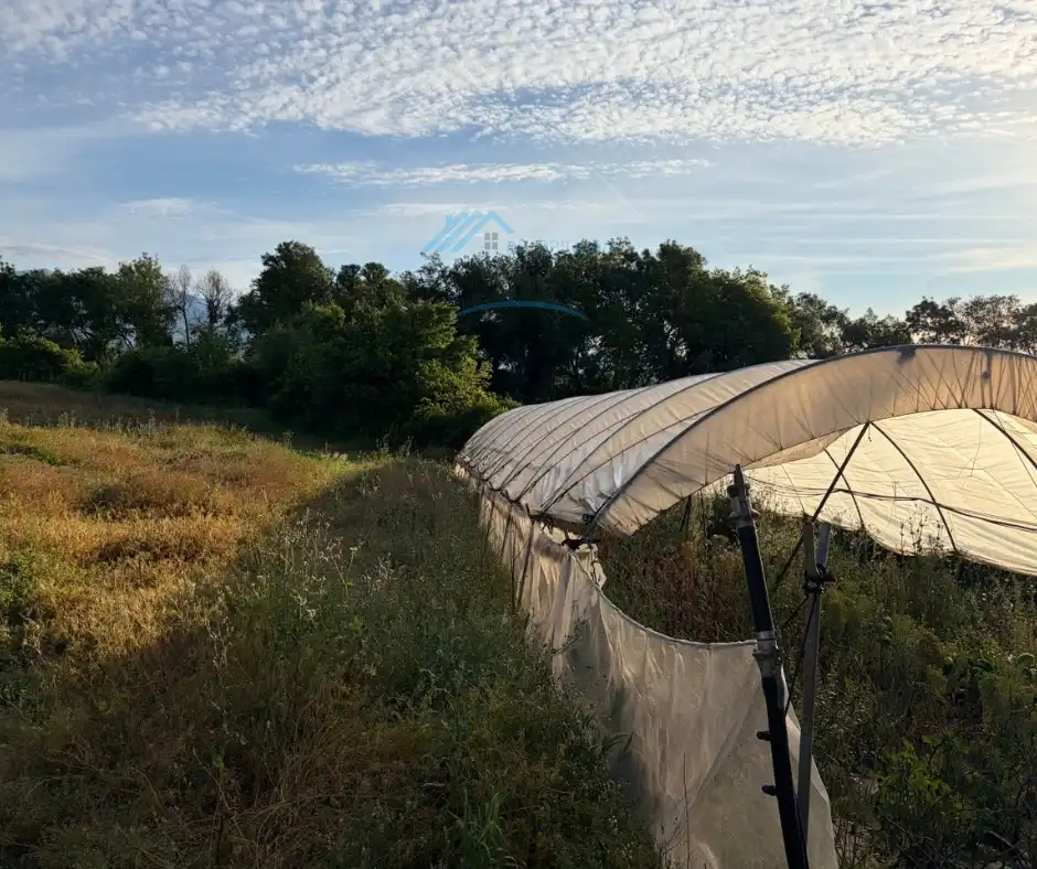 Finca rústica en venta en Cuacos de Yuste