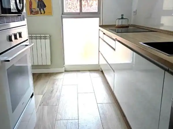 Kitchen of Flat for rent in Centro