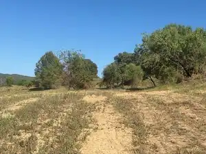 Rustikales Grundstück zum Verkauf in Carrer Eixample Nord 19, imagen 10