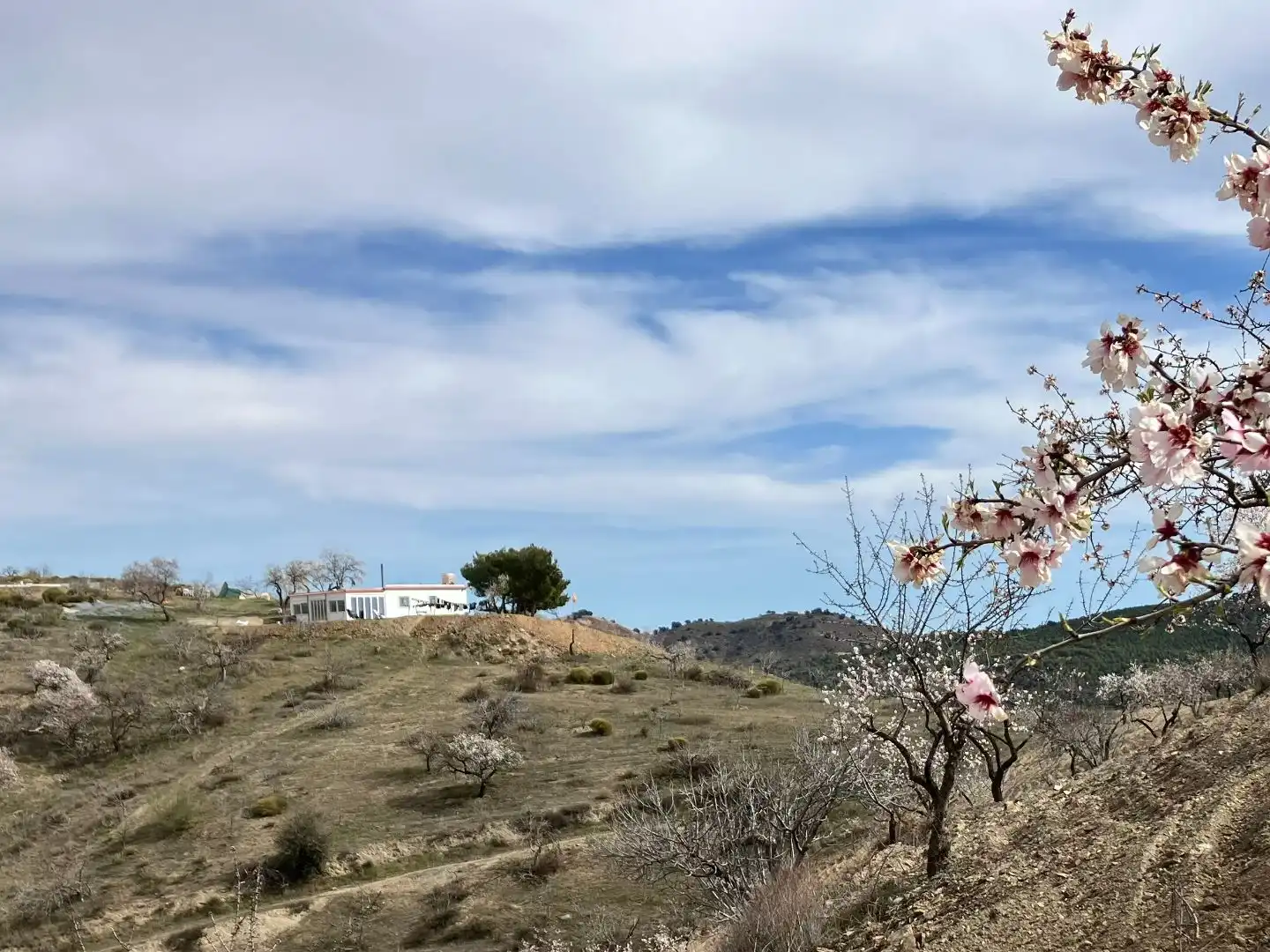 Vista exterior de Finca rústica en venta en Murtas, Granada