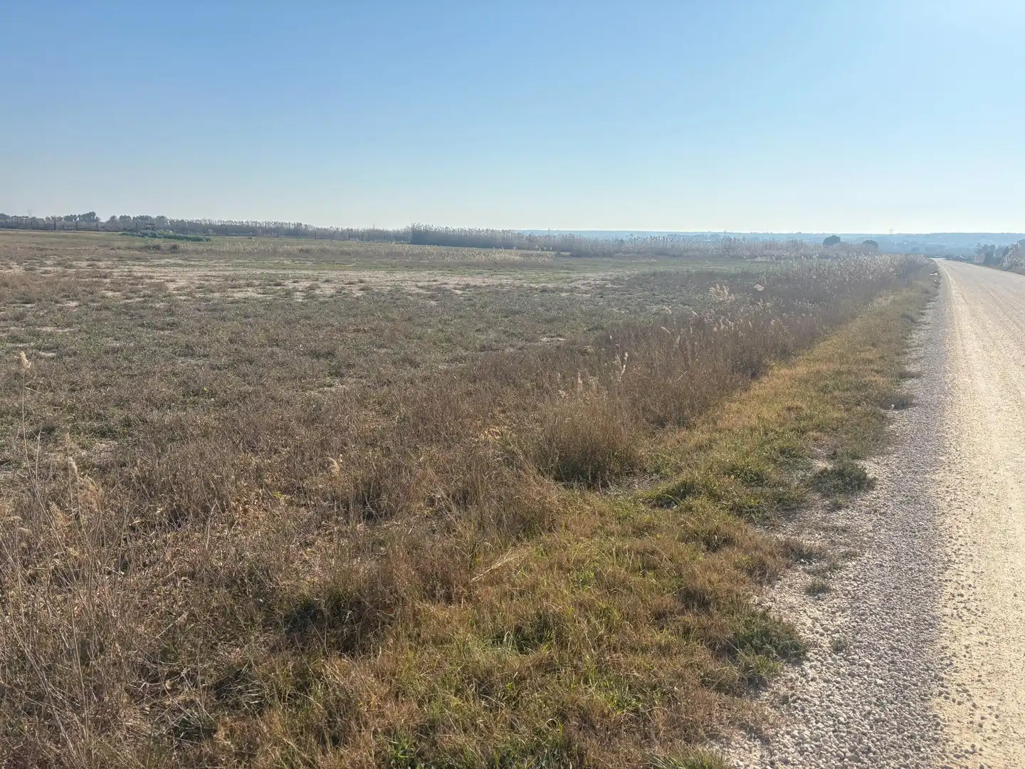 Terrain rustique à vendre à La Foia - Daimés - Asprella, imagen 22