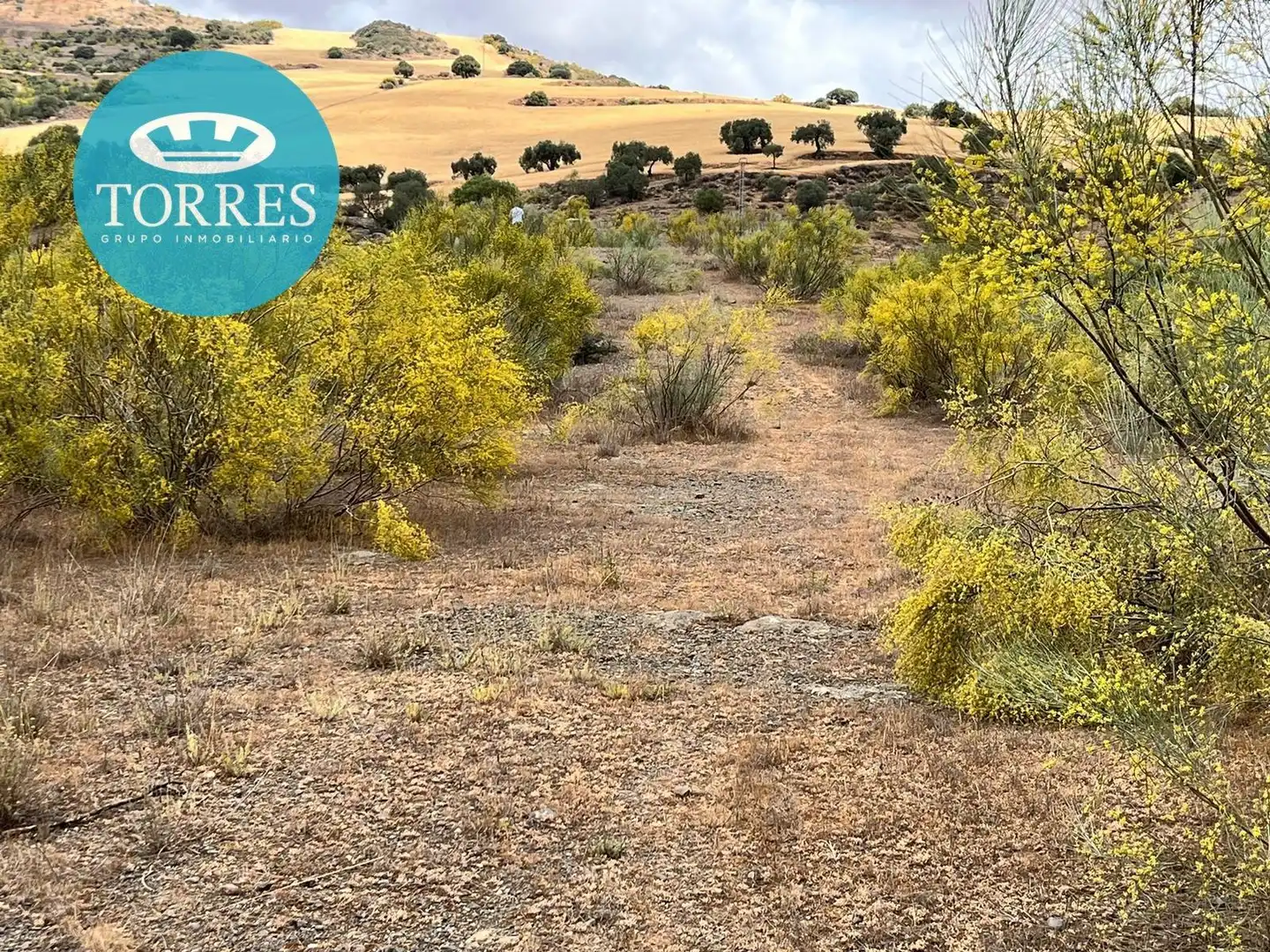 Terrenos y solares en venta en Polígono DISEMINADOS, imagen 4