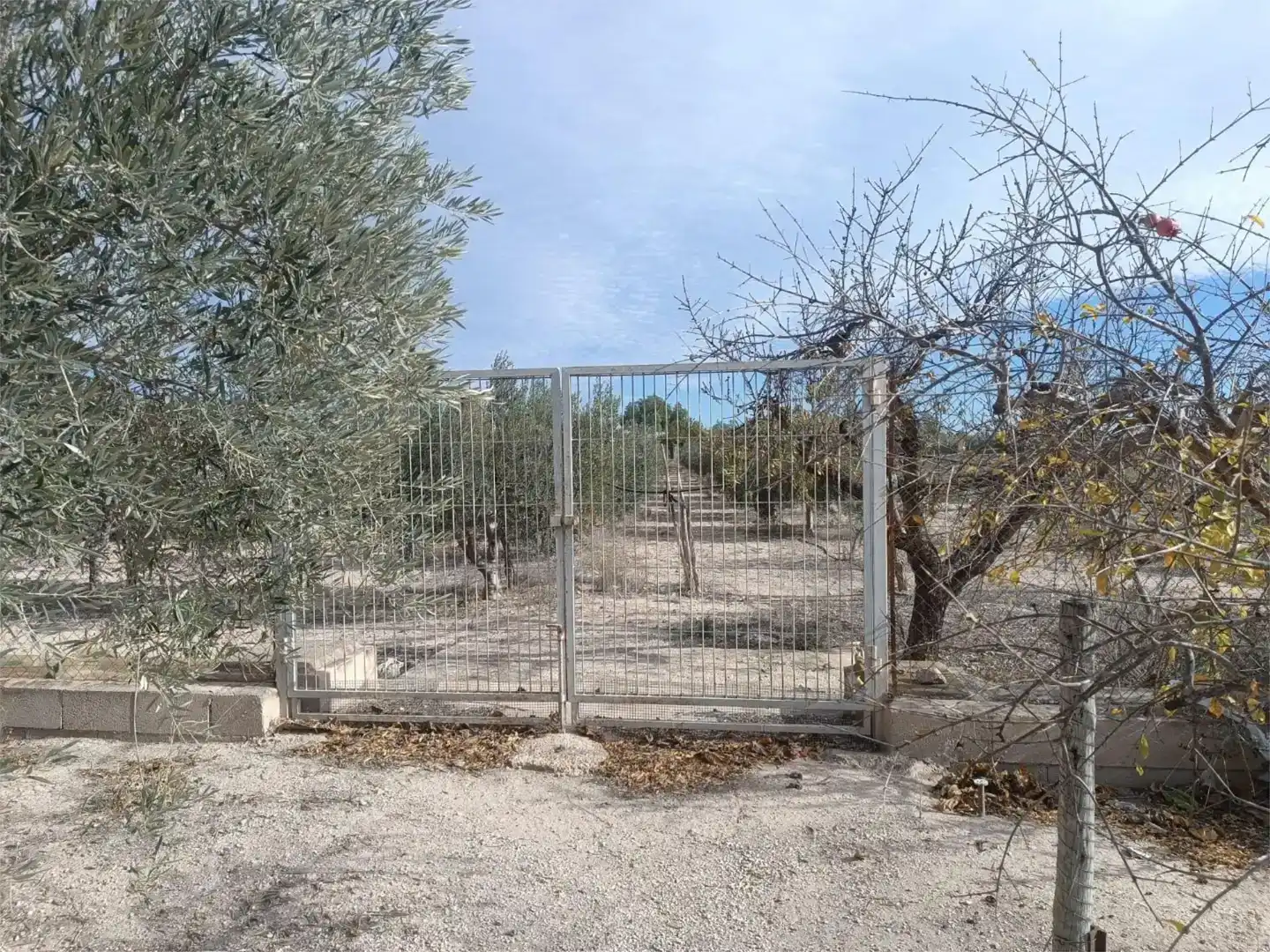 Casa o xalet en venda en Novelda amb Jardí privat, Traster i Moblat