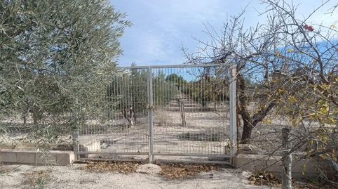 Foto 4 de Casa o xalet en venda a Carrer Almoina, 16, Novelda, Alicante