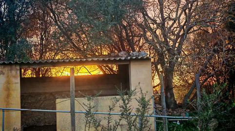 Foto 3 de Finca rústica en venta en Costitx Jornets, Costitx, Illes Balears