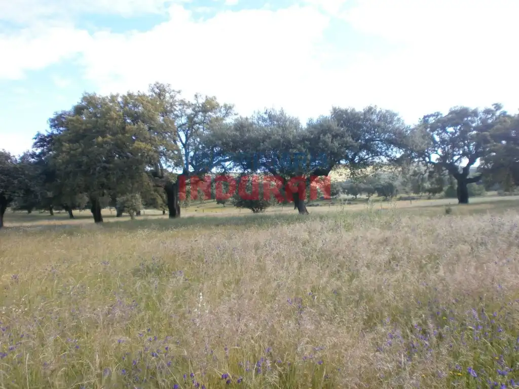 Casa rústica en venda a Malpartida de Plasencia, imagen 7