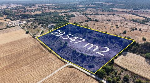 Terreno edificable de 29.547 m² con vistas despejadas en Petra